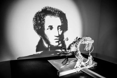 Музей теней, уникальное пространство, развивающее нестандартный взгляд на мир в Санкт-Петербурге