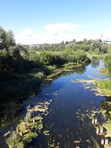 Пляж (Пляж)