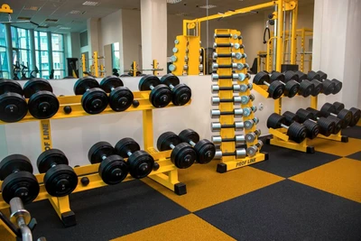 Чемпион (Фитнес-клуб )