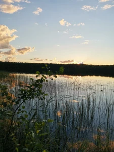 553 км (Гостиница)