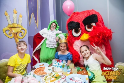 День рождения и скидка имениннику в "Angry Birds Activity Park"