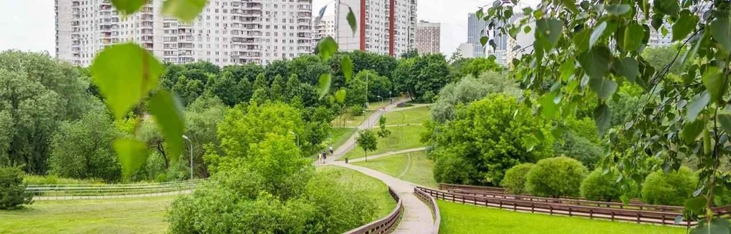 Москва для маленьких: прогулка с грудничком в Парке 50-летия Октября