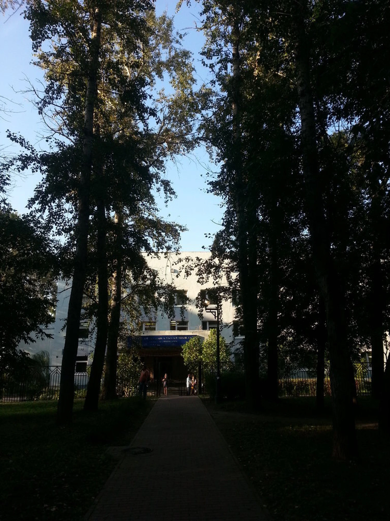 Детская музыкальная школа им. Г. В. Свиридова (Музыкальное образование )