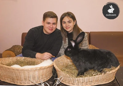 Свидание в компании пушистых кроликов в  антикафе "Зайкафе"