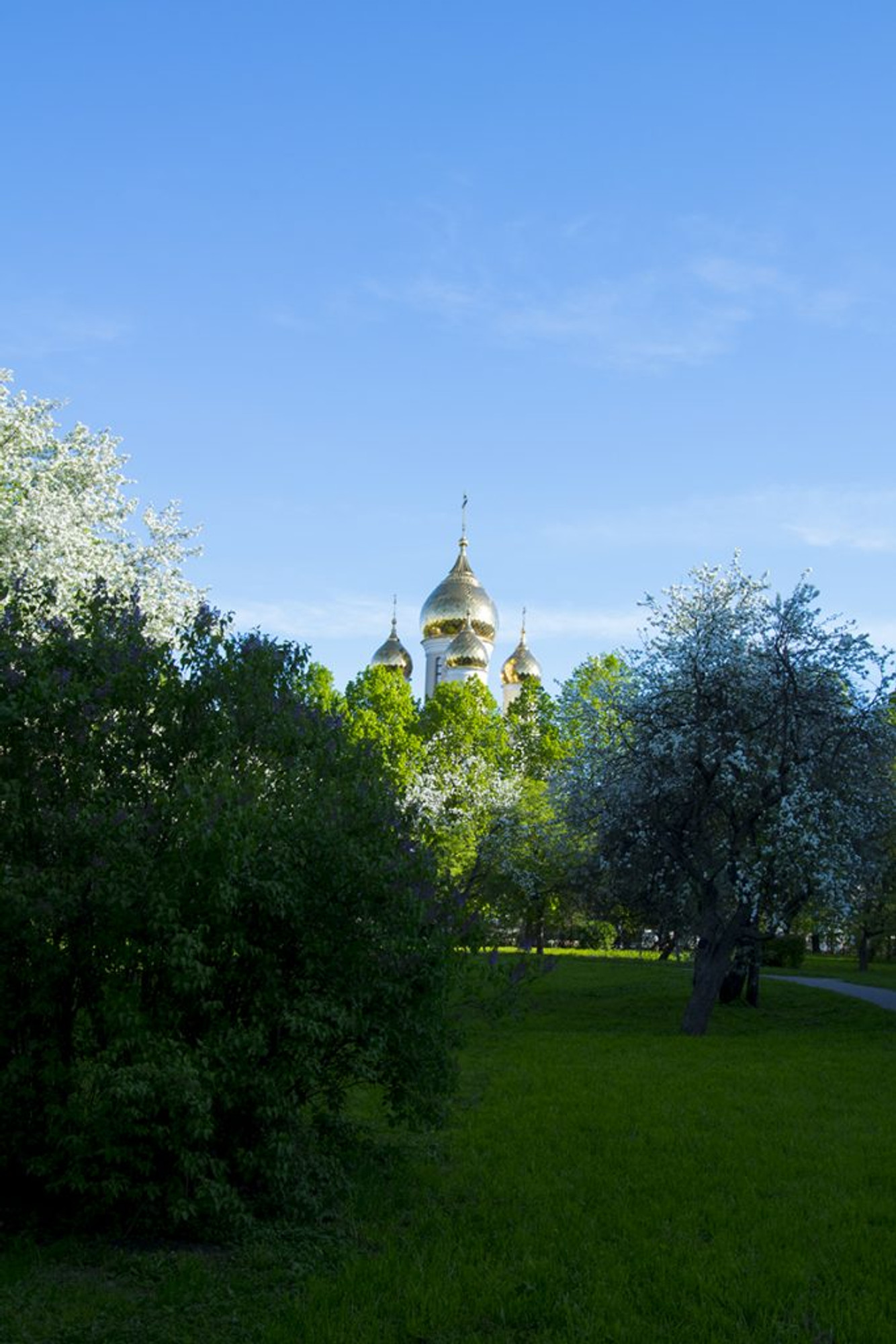 Изображение галлереи