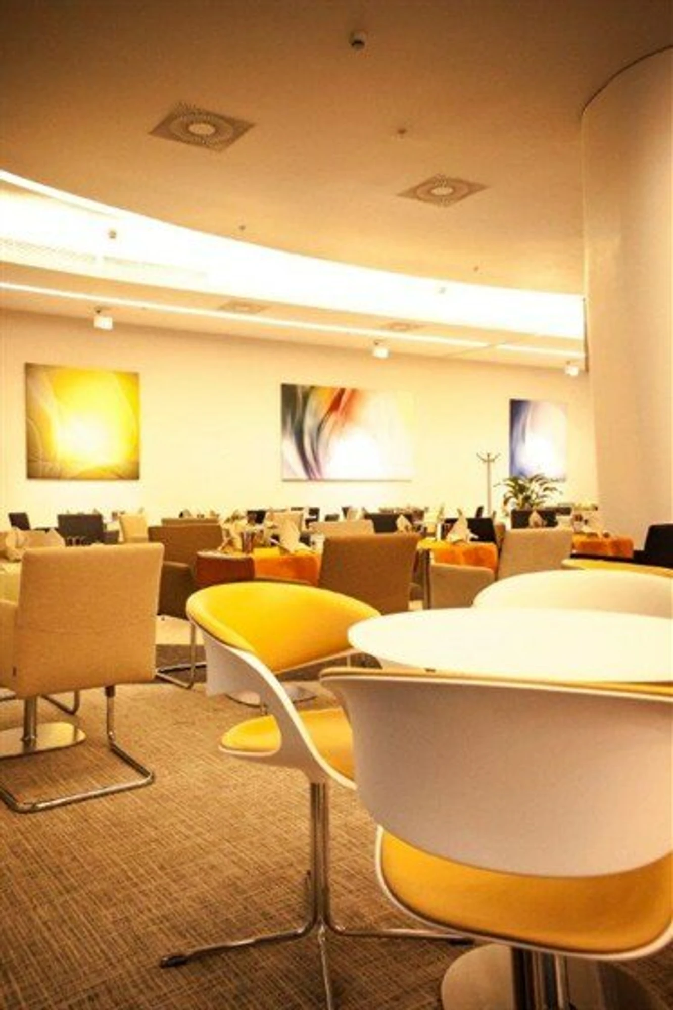 Fusion Grill & Bar (Ресторан )