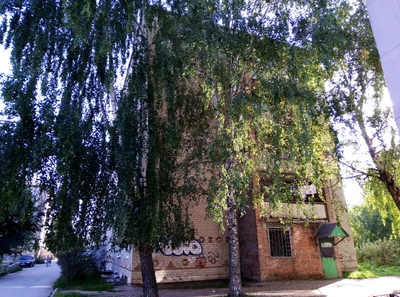 Сауна (Сауна)