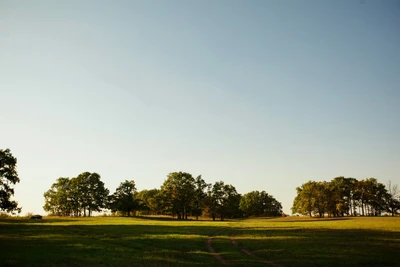 Авиатор (Дом отдыха )