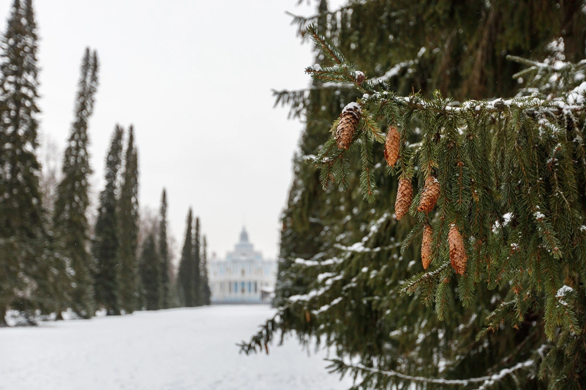 Фото:&nbsp;vk.com/peterhof_museum