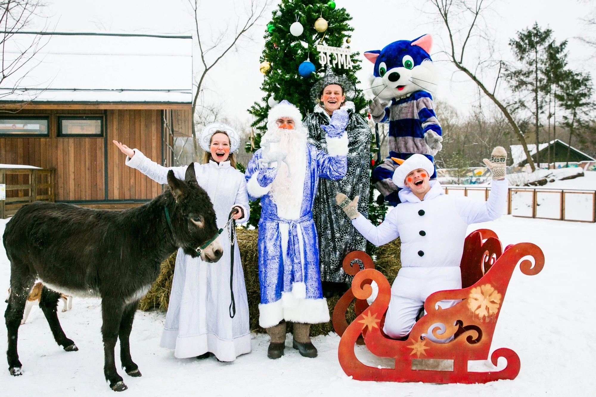 Новогодняя программа на Городской Ферме ВДНХ