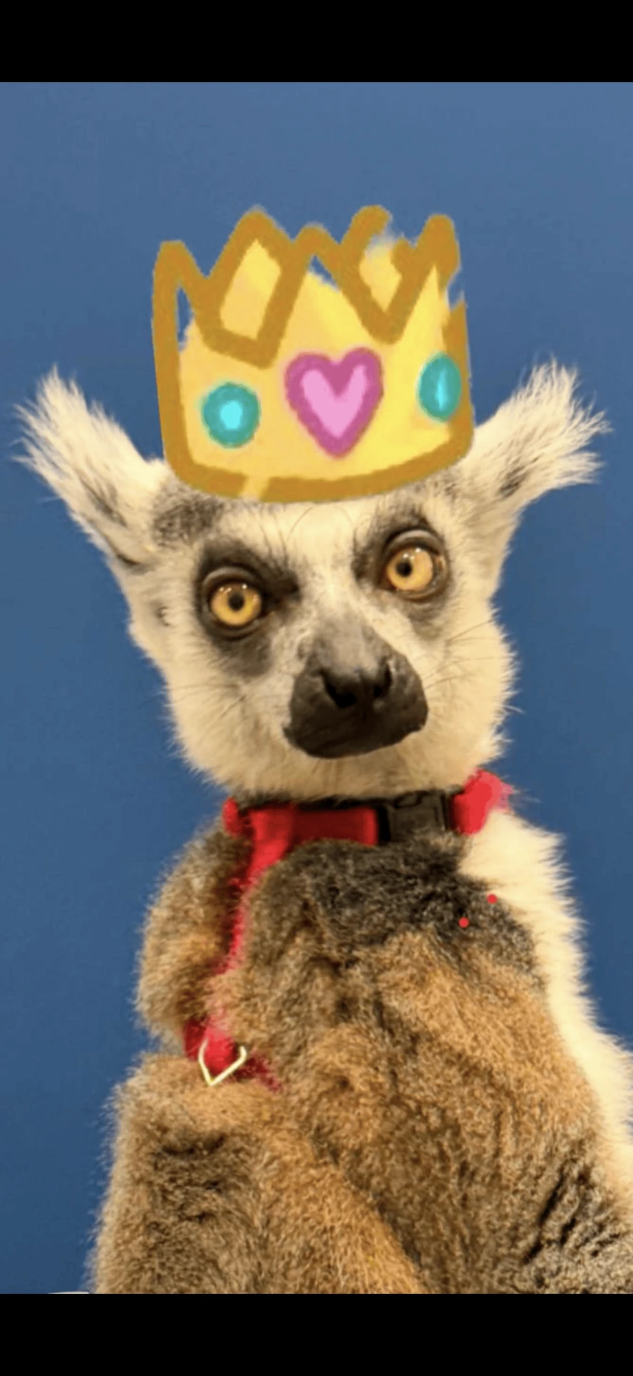 Многодетным семьям скидки! ❤️