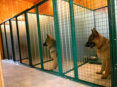 Спортивно-кинологический центр Анкур (Гостиница для животных )