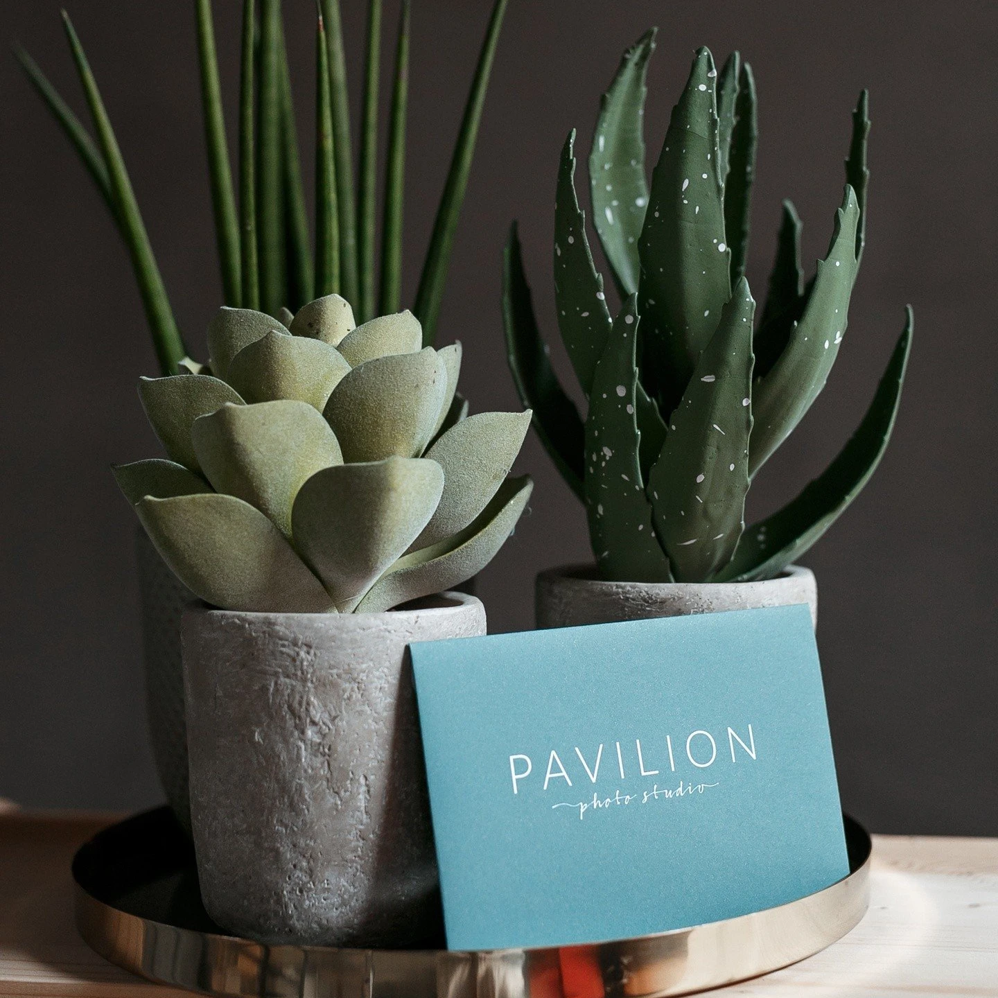 Подарочный сертификат в фотостудию "Pavilion"