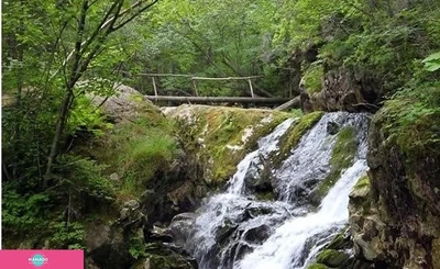 Dersu, "Дерсу", туры по Владивостоку и Приморскому краю для всей семьи 