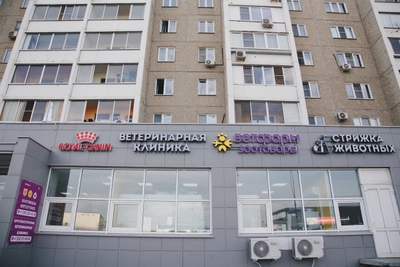 Зоомакс (Ветеринарная клиника )