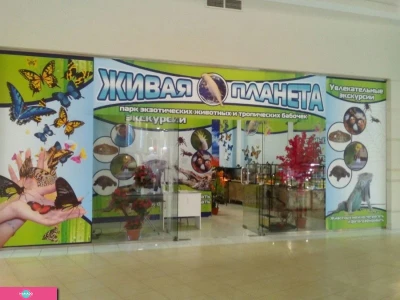 "Живая планета", парк экзотических животных и тропических бабочек в ТРЦ "Парк Хаус", Казань 