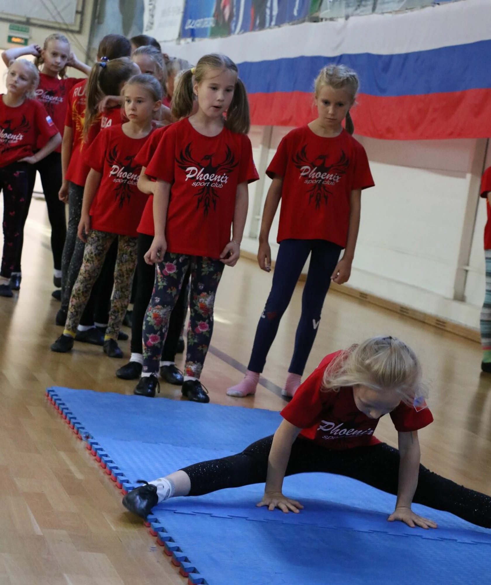 Спортивный клуб Феникс (Спортивный клуб, секция )