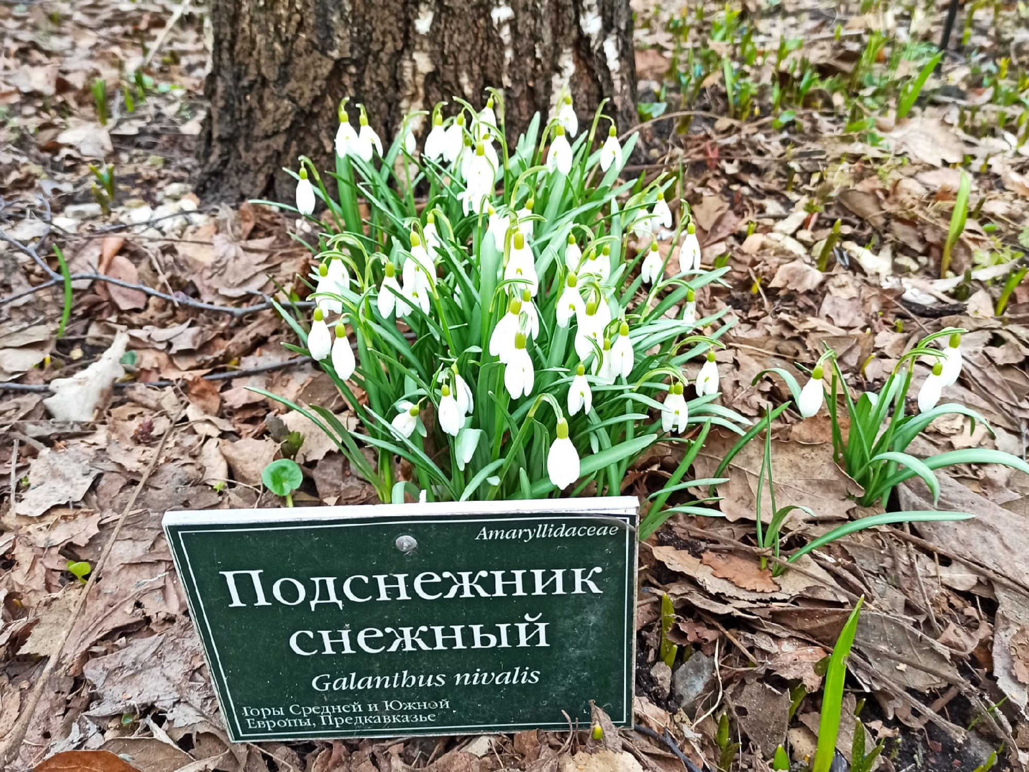 Московский детско-юношеский центр экологии, краеведения и туризма