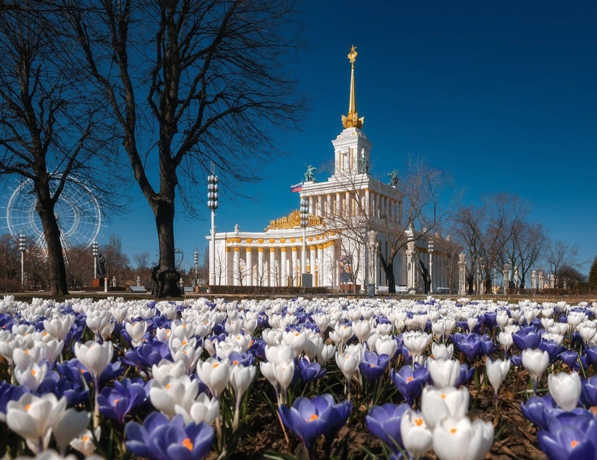 Фото: vk.com/moscowseasons