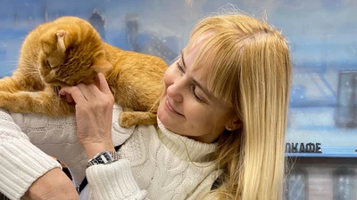 День рождения в котокафе "Республика котов"