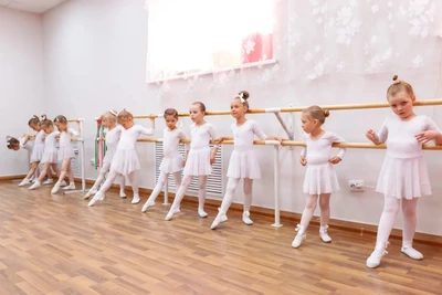 Фея драже, Школа балета