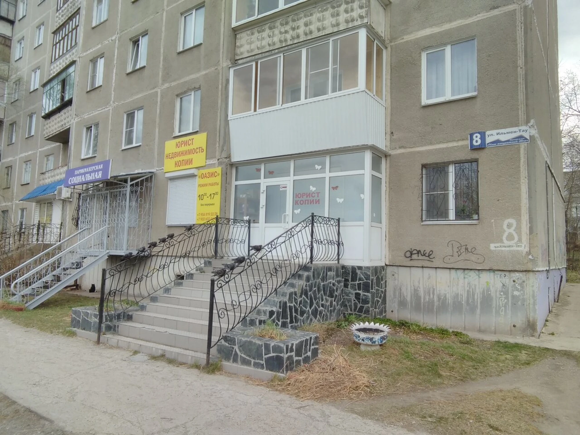 Оазис (Агентство недвижимости )