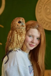 Фотосессия с совами в антикафе "Совиный Дом"