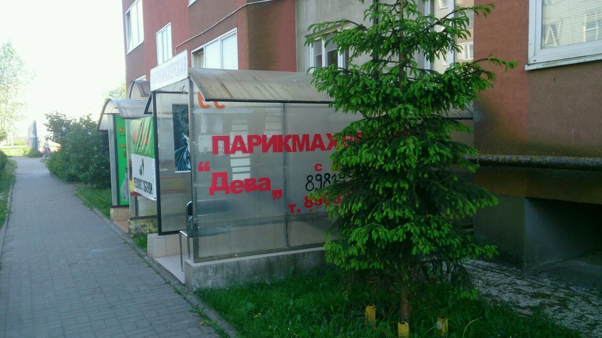 Дева (Парикмахерская )
