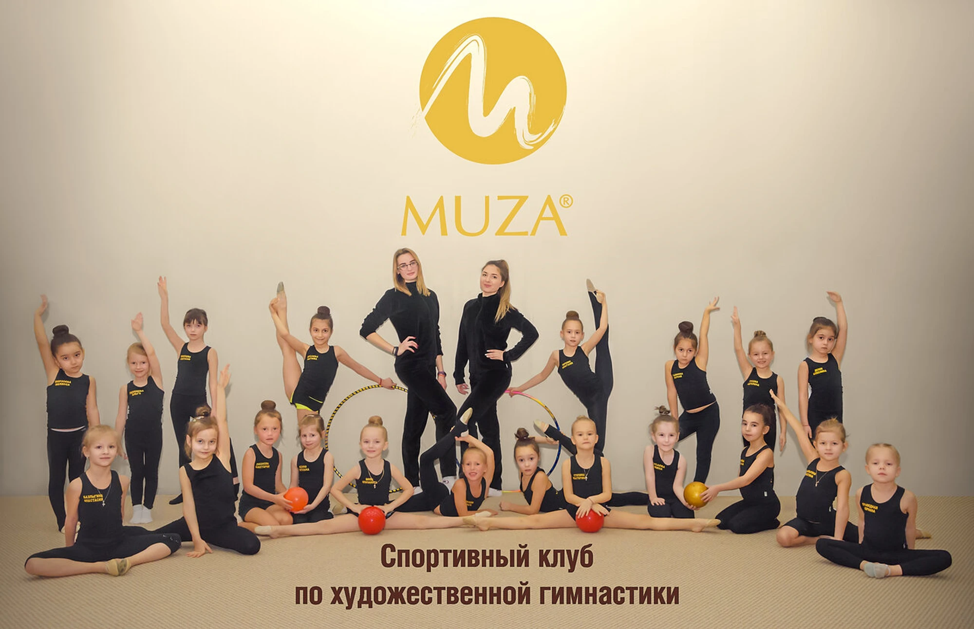 Академия Искусств Муза (Спортивный клуб, секция )