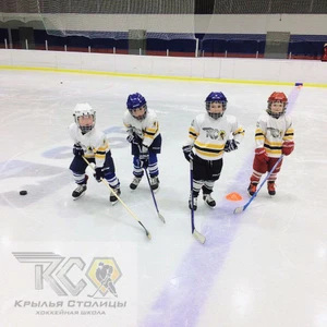 Хоккейная школа Крылья Столицы (Спортивная школа )