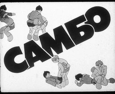 Муниципальное учреждение Спортивная школа олимпийского резерва № 17 г. Ярославля по борьбе Самбо, администрация (Спортивная школа)