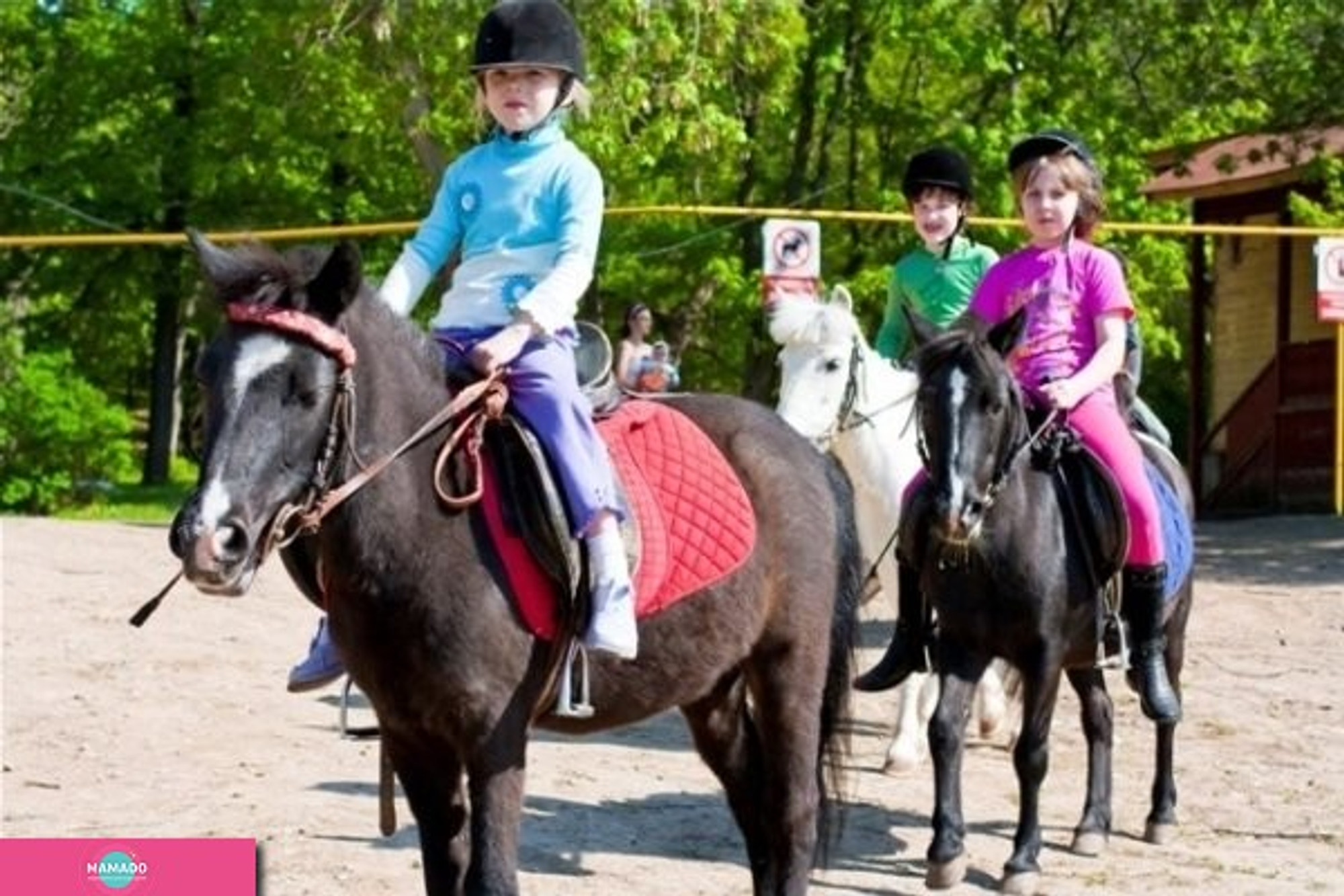 "Авангард", конноспортивный клуб в Загородном парке, конный спорт, пони-клуб для детей, Самара 