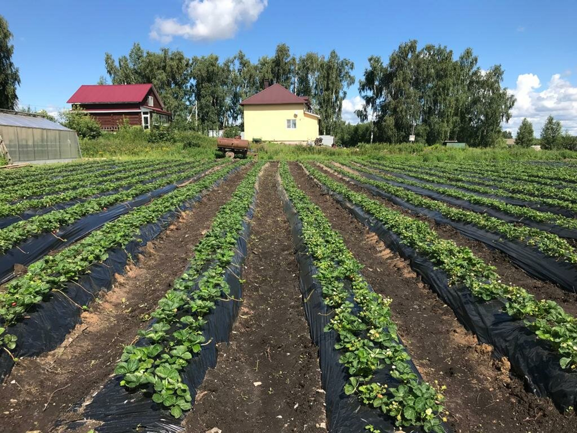 Изображение галлереи