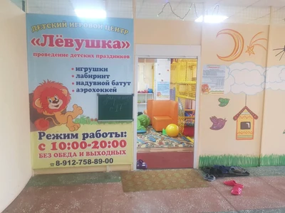Левушка (Детские игровые залы и площадки )