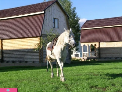 "Шиболово горки", коттеджный посёлок для семейного отдыха в Подмосковье 
