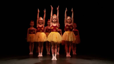 "Birdy Dance Studio", школа современных танцев на Международной