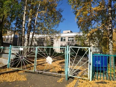 МБДОУ № 245 (Детский сад)