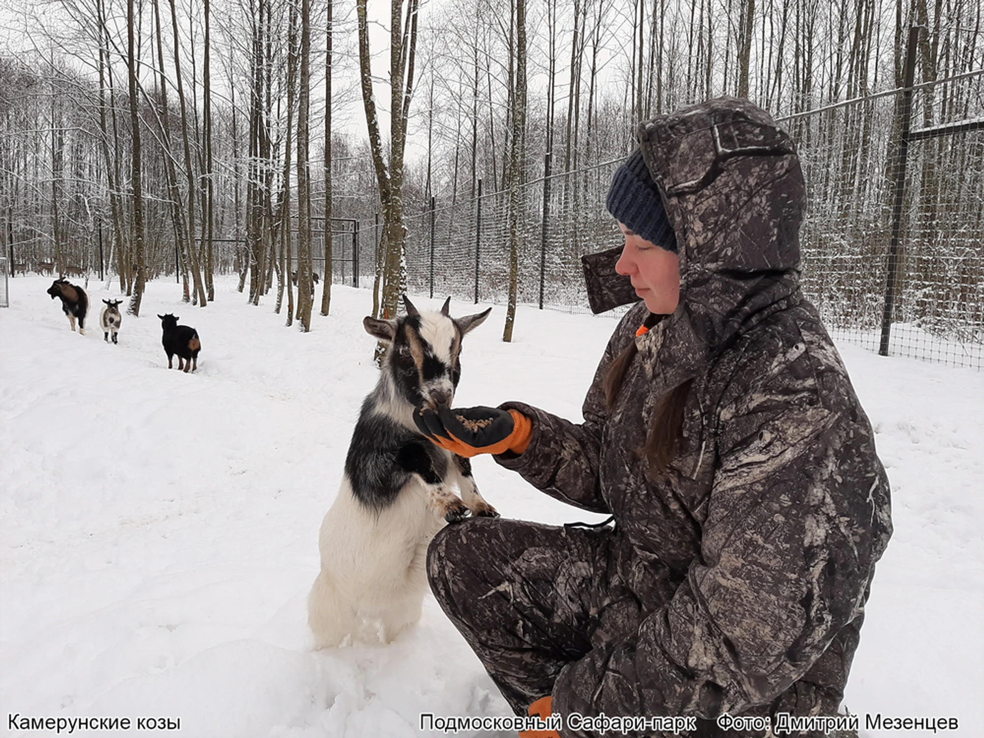 Экскурсия в Парк копытных и птиц