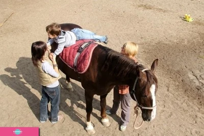 "Иппония", центр иппотерапии и лечебной верховой езды в Прохоровке, Калининградская область 