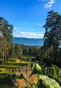 "Спин-спорт", спортивный клуб, детская горнолыжная школа, теннис для детей