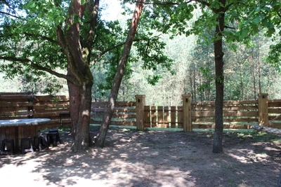 Лесная сказка (Баня)