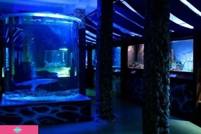"Сочинский аквариум", аквариум и морской зоопарк на Новой Мацесте, Сочи 