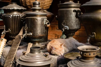 Дом Калашниковых (Музей)