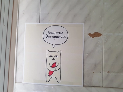 Королевство кошек (Музей)