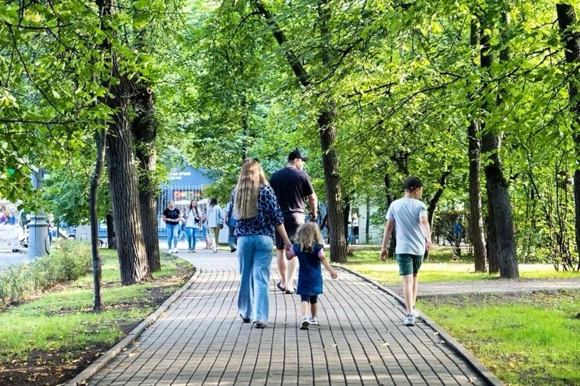 Фото с официальной страницы парка:&nbsp;https://vk.com/sokolpark&nbsp;