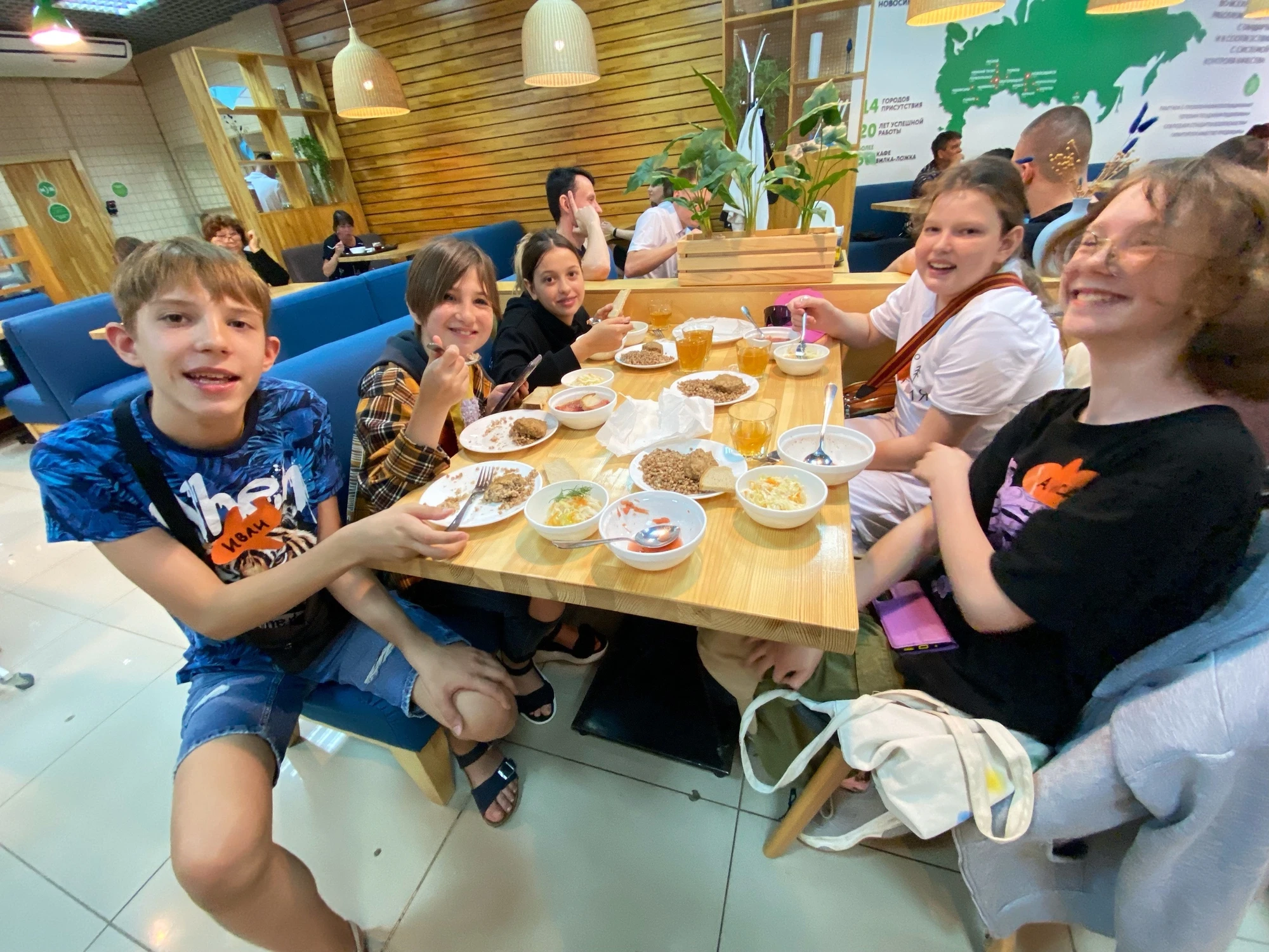 Рыжий кот  ​Школа дизайна