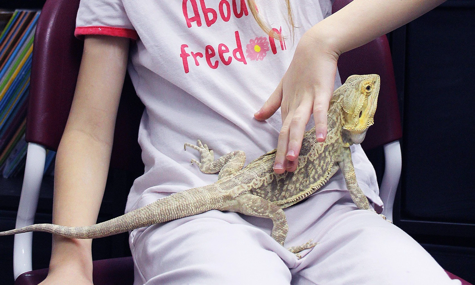 5-9 КЛАССЫ с углубленным изучением наук и математики в "Талантвилле"