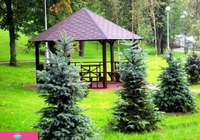Парк долины реки Химки в СЗАО