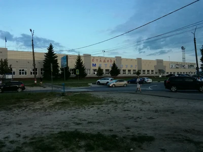 Муниципальное учреждение Металлург (Спортивная база)