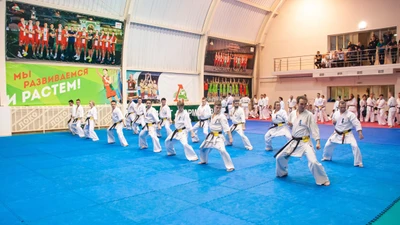 Академия единоборств MAS на Синих камнях